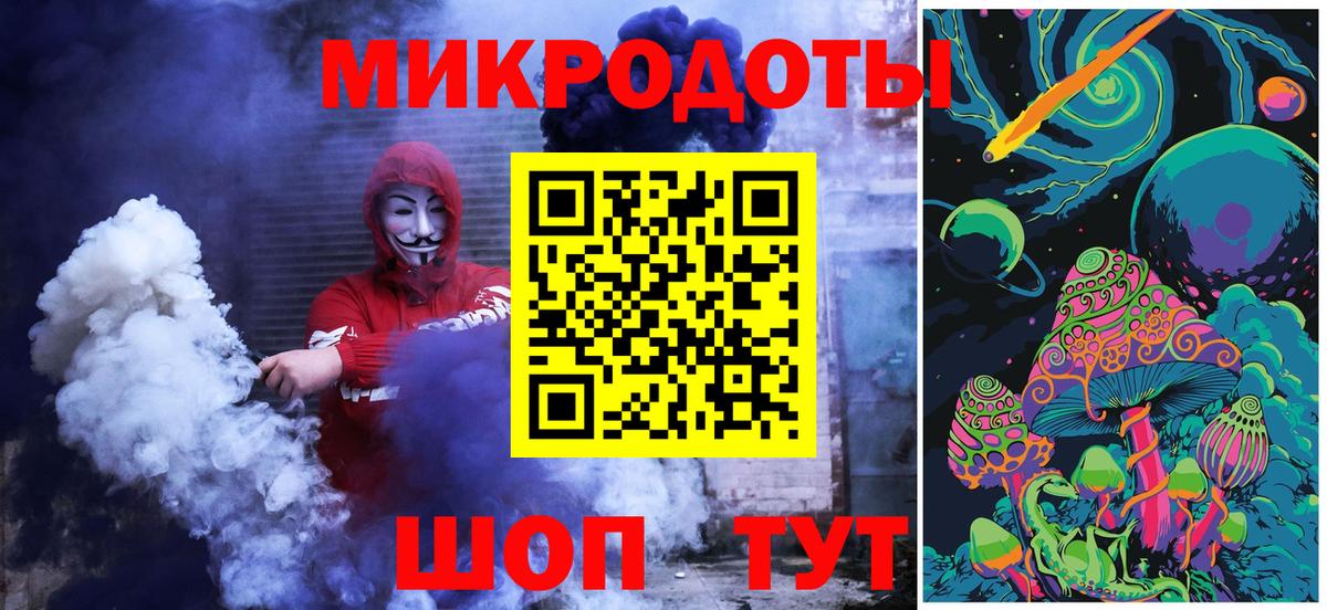 Галлюциногенные грибы Psilocybe Йошкар-Ола