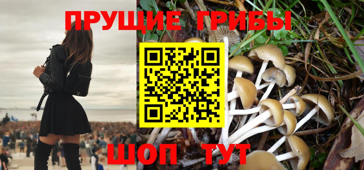 Псилоцибиновые грибы ЛСД  Вход с VPN  наркота  Псилоцибиновые грибы мухоморы  Йошкар-Ола 